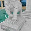 濮阳 白麻花岗岩动物异形石雕-大象
