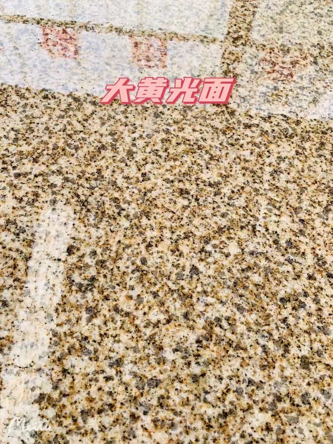 濮阳黄金麻大黄光面