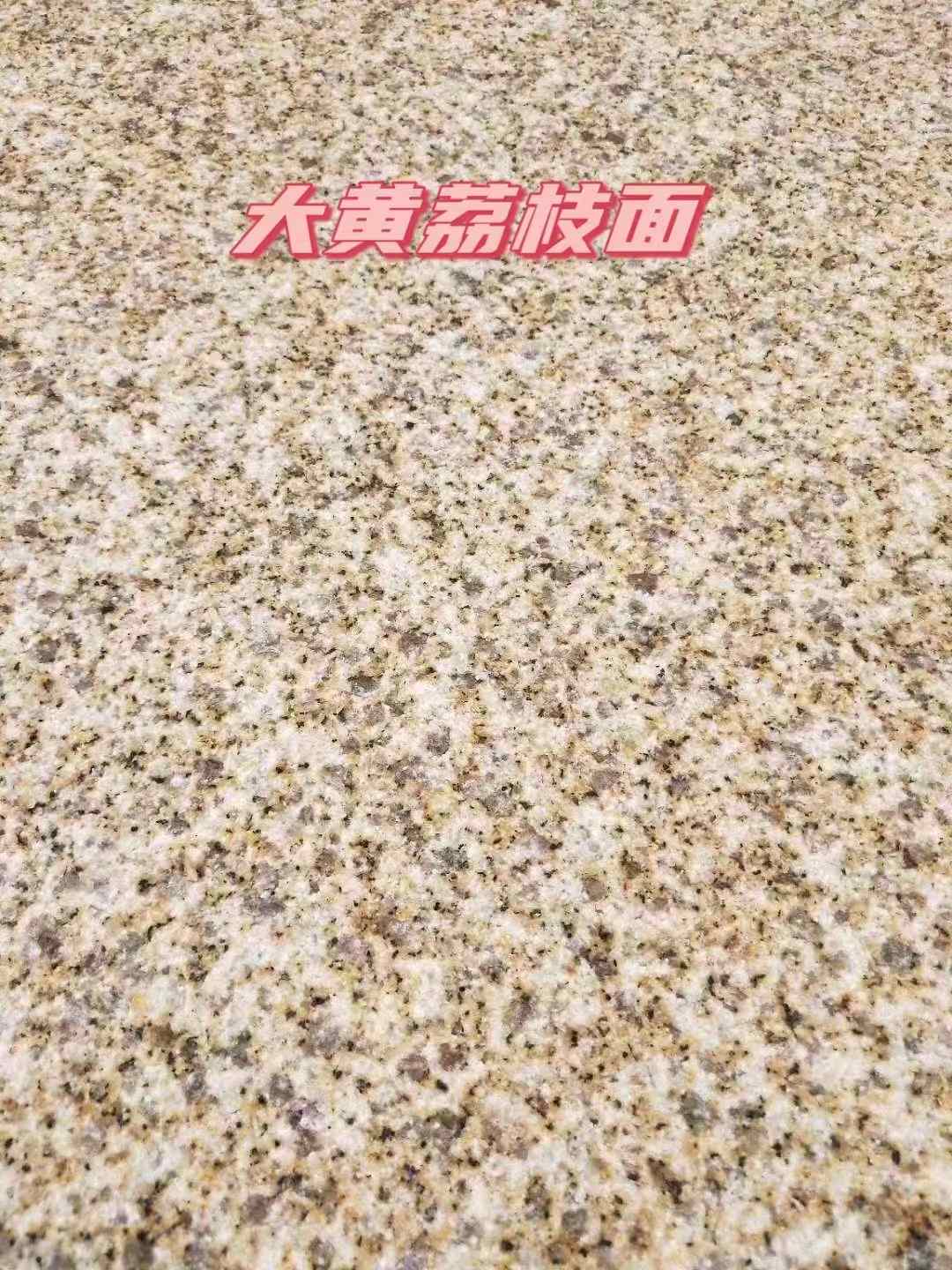 濮阳黄金麻大黄荔枝面