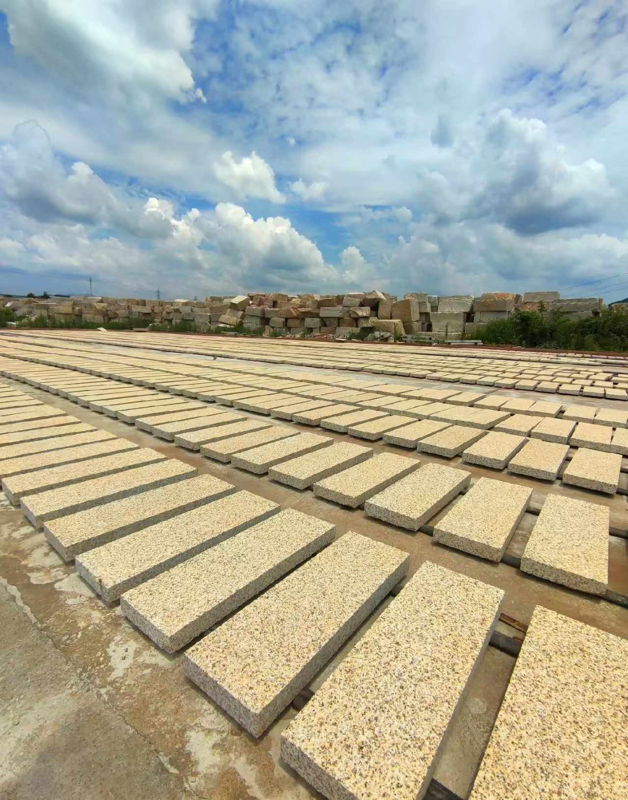 濮阳 黄金麻荔枝面花岗岩石材地铺石防护中